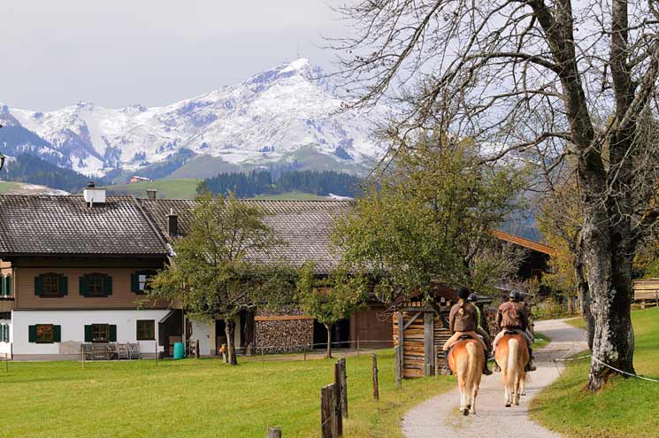 Wanderreiten – ein faszinierendes Hobby, das immer mehr Anhänger gewinnt.
